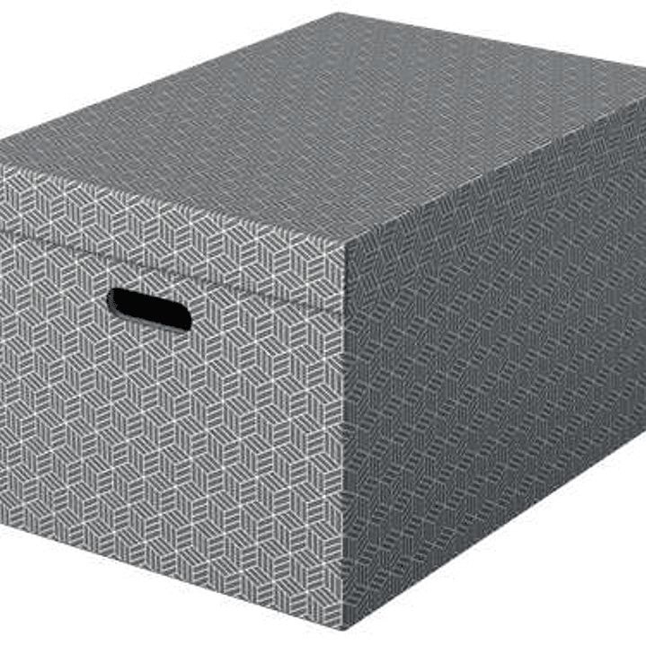 Esselte Pack de 3 Cajas Grandes de Almacenamiento con Tapa 355x305x510mm - Carton 100% Reciclado y Reciclable - Asas Integradas - Diseño Gris con Dibu 1