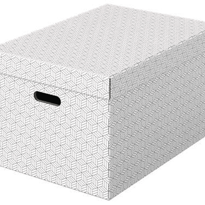 Esselte Pack de 3 Cajas Grandes de Almacenamiento con Tapa 355x305x510mm - Carton 100% Reciclado y Reciclable - Asas Integradas - Diseño Blanco con Di 1