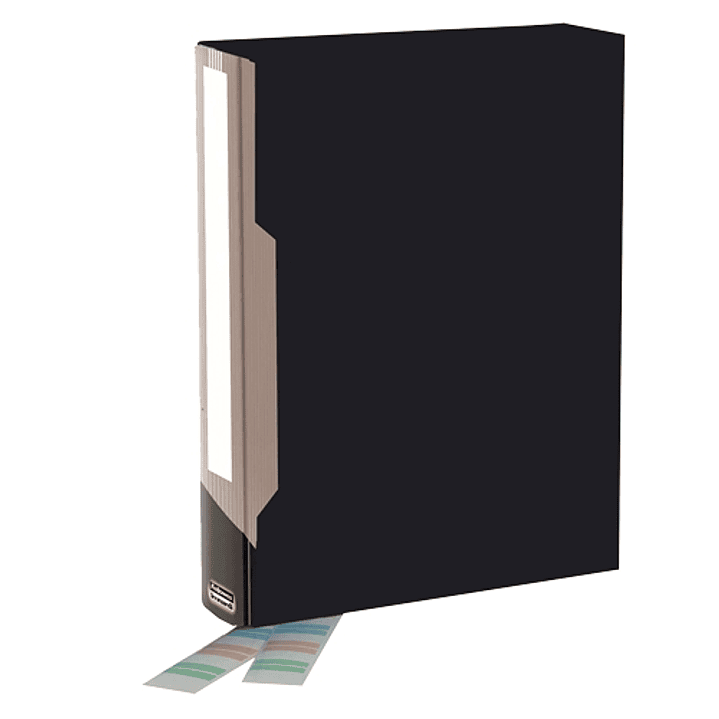 Bankers Box Carpeta Porta-Fundas Polipropileno Flexible - 100 Fundas - Etiquetas Personalizables - Dimensiones Externas 6.50x31.50x23.50cm - Dimension 1