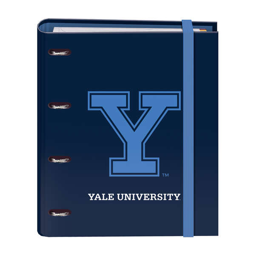 Dohe Cuaderno de Carton Forrado - 35mm - 100 Hojas Offset 90g - Cuadricula 5mm - 4 Separadores Polipropileno - Sobre Transparente Velcro 1