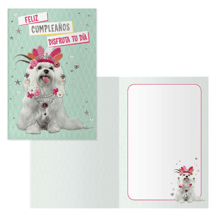 Dohe Pack de 6 Tarjetas de Felicitacion de Cumpleaños - 11.5x17cm - Impresion a Todo Color - Estampaciones con Pelicula de Color - Papel Offset Blanco 1