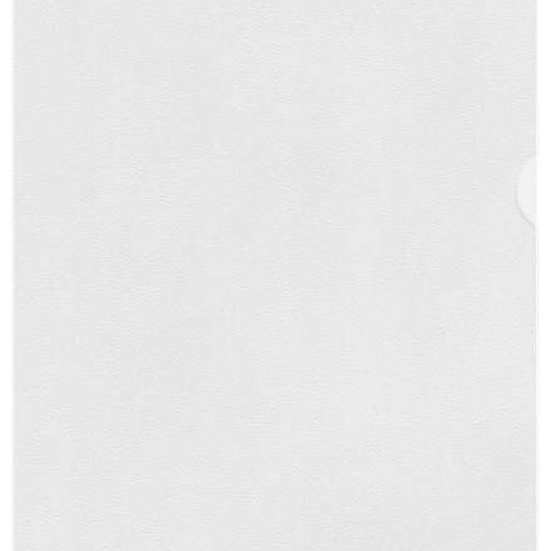 Esselte Caja de 100 Dossiers Uñero Formato A4 - Lamina de PP Piel de Naranja - Grosor 0.11mm 1