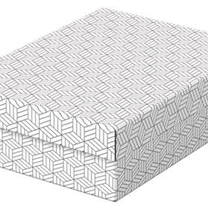 Esselte Pack de 3 Cajas Medianas de Almacenamiento con Tapa 265x100x360mm - Carton 100% Reciclado y Reciclable - Diseño Blanco con Dibujo 1