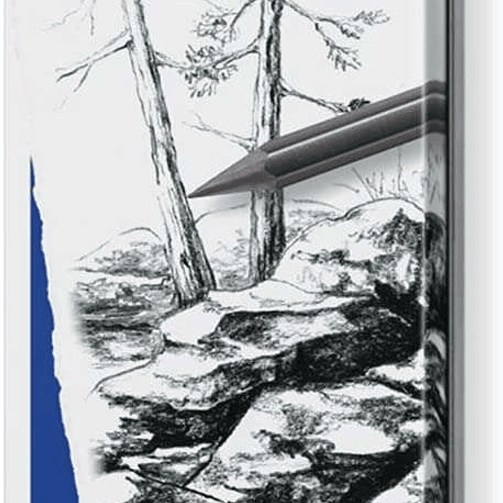 Staedtler Mars Lumograph Pure Graphite 100G Pack de 6 Lapices de Grafito - Tonos Brillantes - Graduaciones Surtidas 1