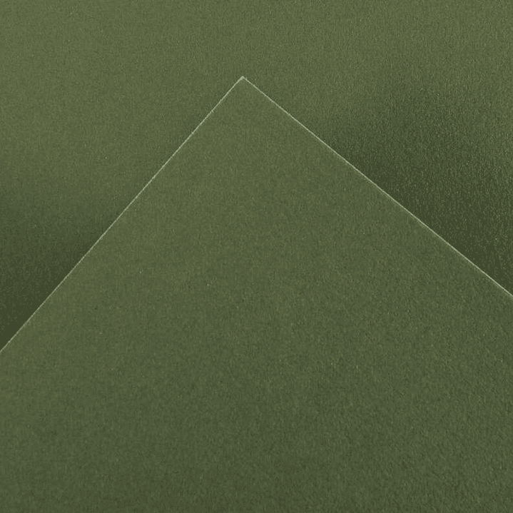 Canson Guarro Pack de 25 Cartulinas Iris de 185g - 50x65cm - Color Verde Safari 1