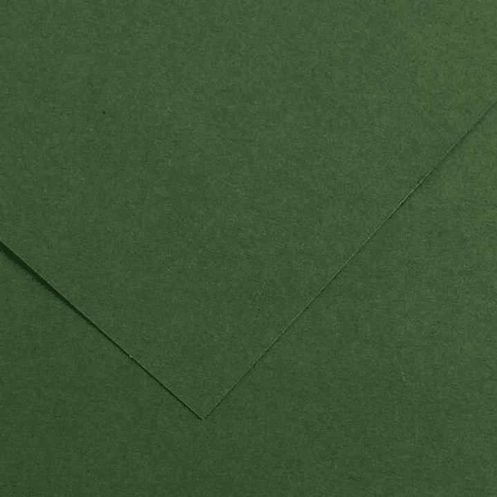 Canson Guarro Pack de 25 Cartulinas Iris de 185g - 50x65cm - Color Verde Amazonas 1