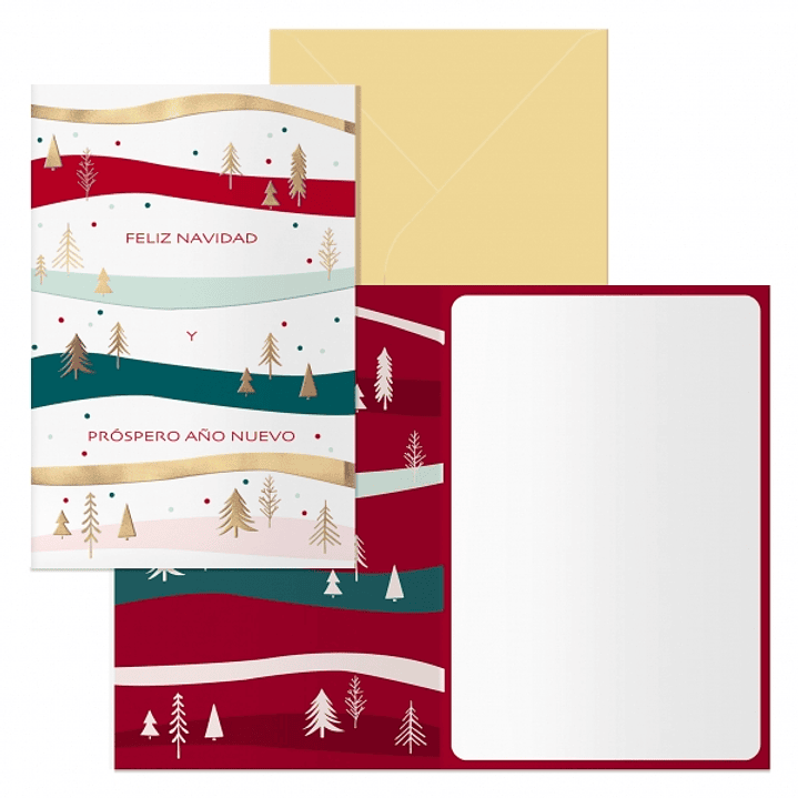 Dohe Grove Pack de 6 Tarjetas de Felicitacion Navideña con Sobre - Tamaño Cerrada 11.5x17cm, Abierta 23x17cm - Papel Offset - Impresas a todo Color 1