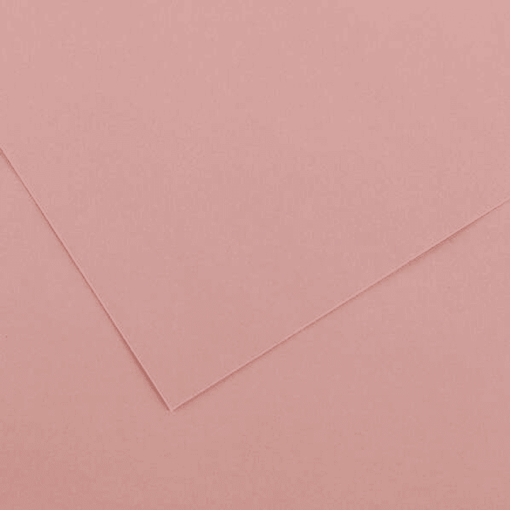 Canson Guarro Pack de 25 Cartulinas Iris de 185g - 50x65cm - Color Rosa 1