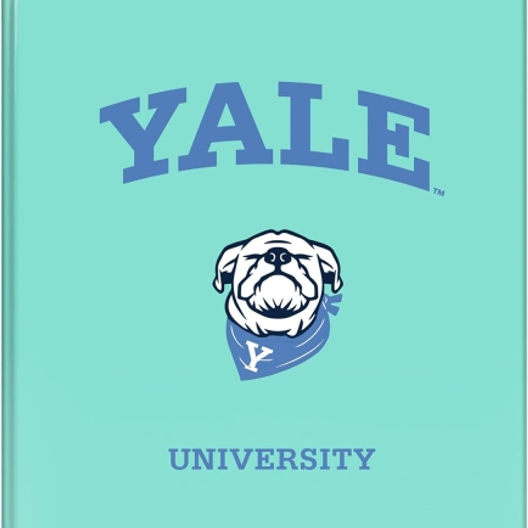 Dohe Yale Dog Carpeta de 4 Anillas Mixtas de 40mm - Formato Folio - Cubierta en Carton Forrado Plastificado 1