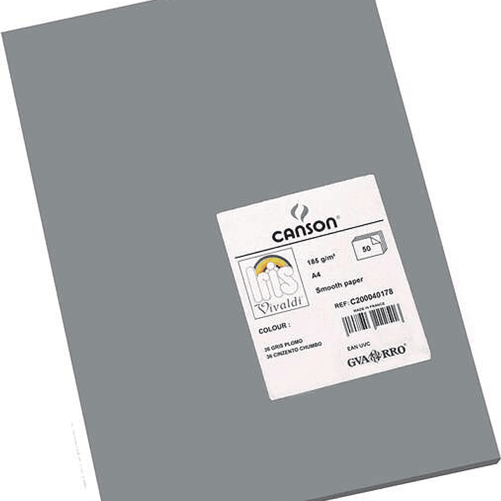 Canson Guarro Pack de 50 Cartulinas Iris A4 de 185g - 21x29.7cm - Color Gris Plomo 1