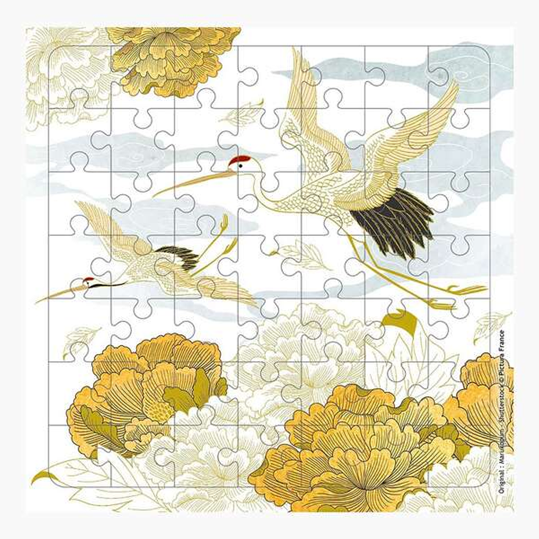 Pictura Tarjeta Puzzle - 15.5x15.5cm - Tematica Grullas - 49 Piezas - Incluye Tarjeta Plegada y Sobre Blanco - Certificacion FSC 1