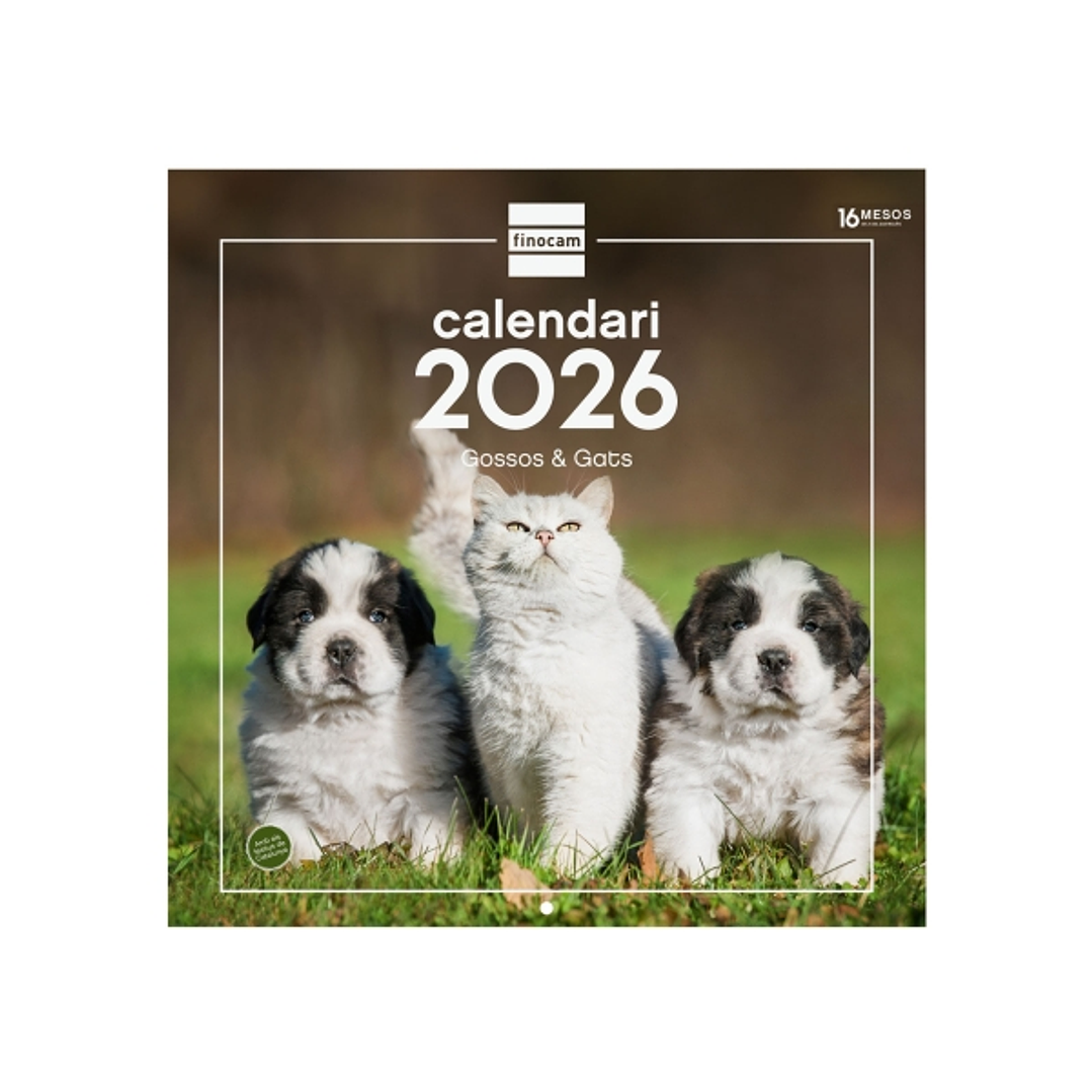 Finocam Calendario de Pared en Catalan - Anual 2026 - Imagenes Variadas - 300x300mm - Espacio para Escribir - Tematica de Perros y Gatos 1