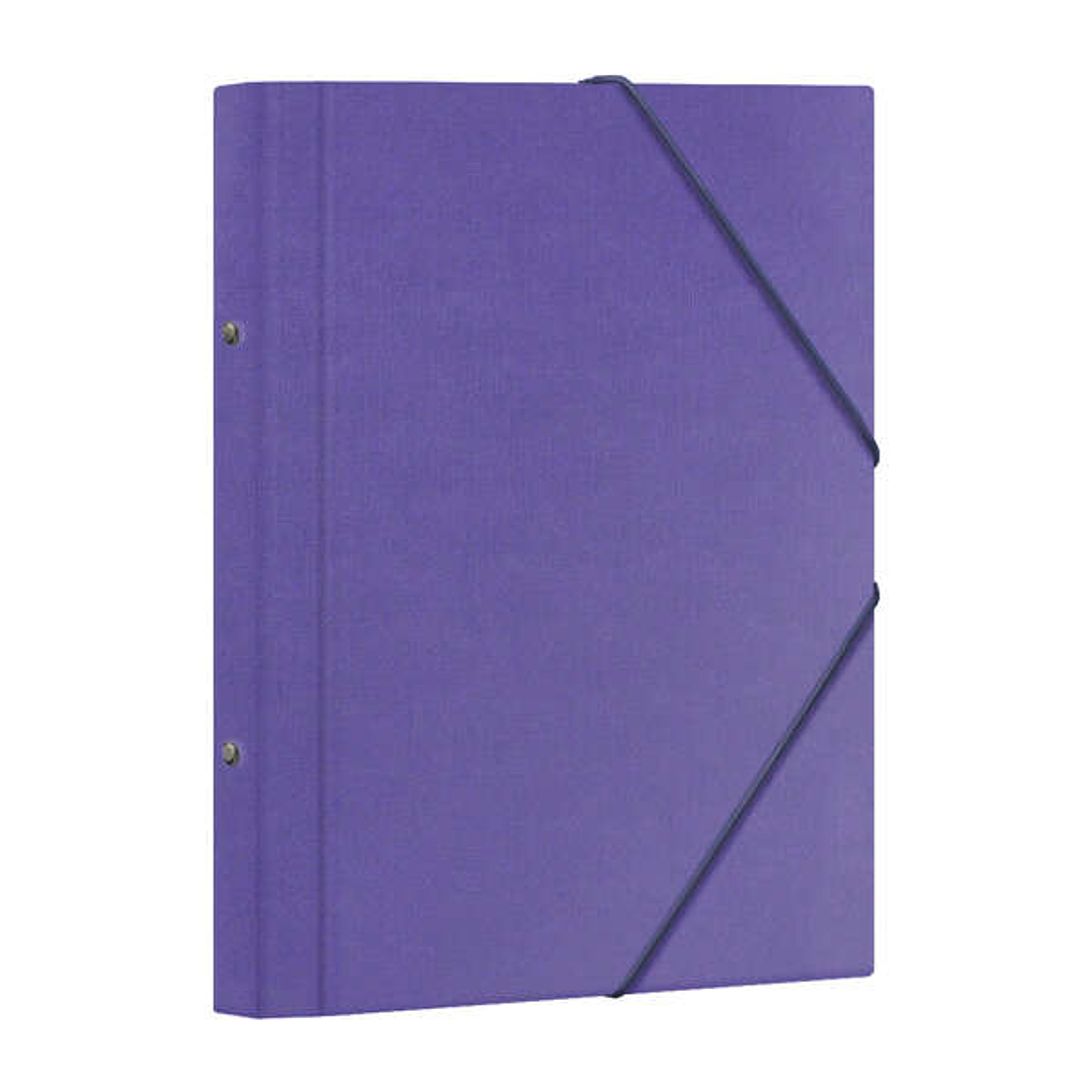 Dohe Carpeta Clasificadora 12 Departamentos - Formato Folio - Carton Plastificado - Cierre con Gomas - Color Morado 1
