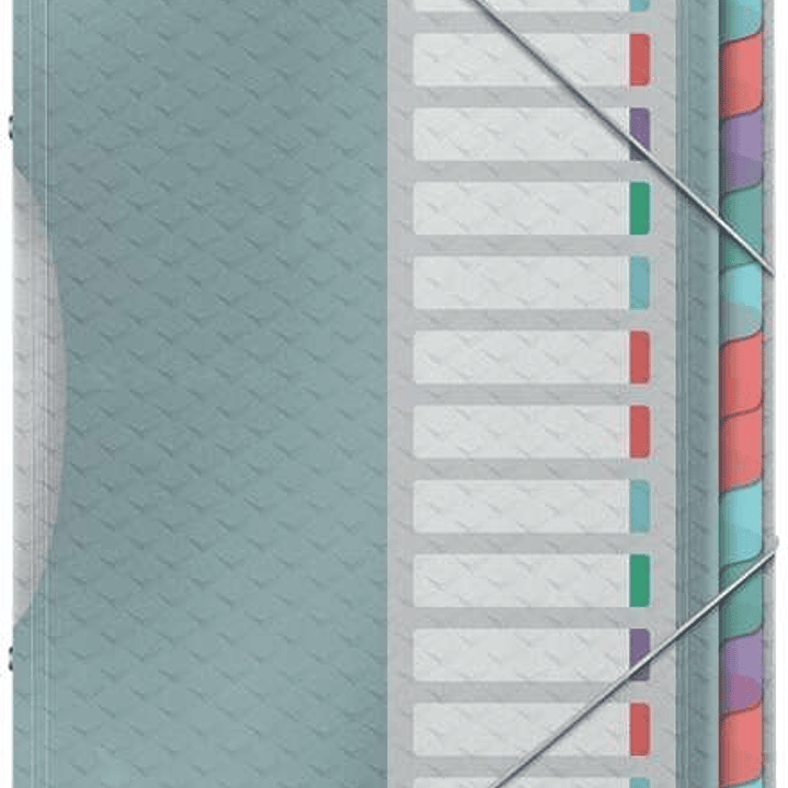 Esselte Colour'Breeze Clasificador con 12 Pestañas Multicolor - Para Formato A4 - 3 Solapas en la Contraportada - Polpropileno en Relieve - Cierre con 1