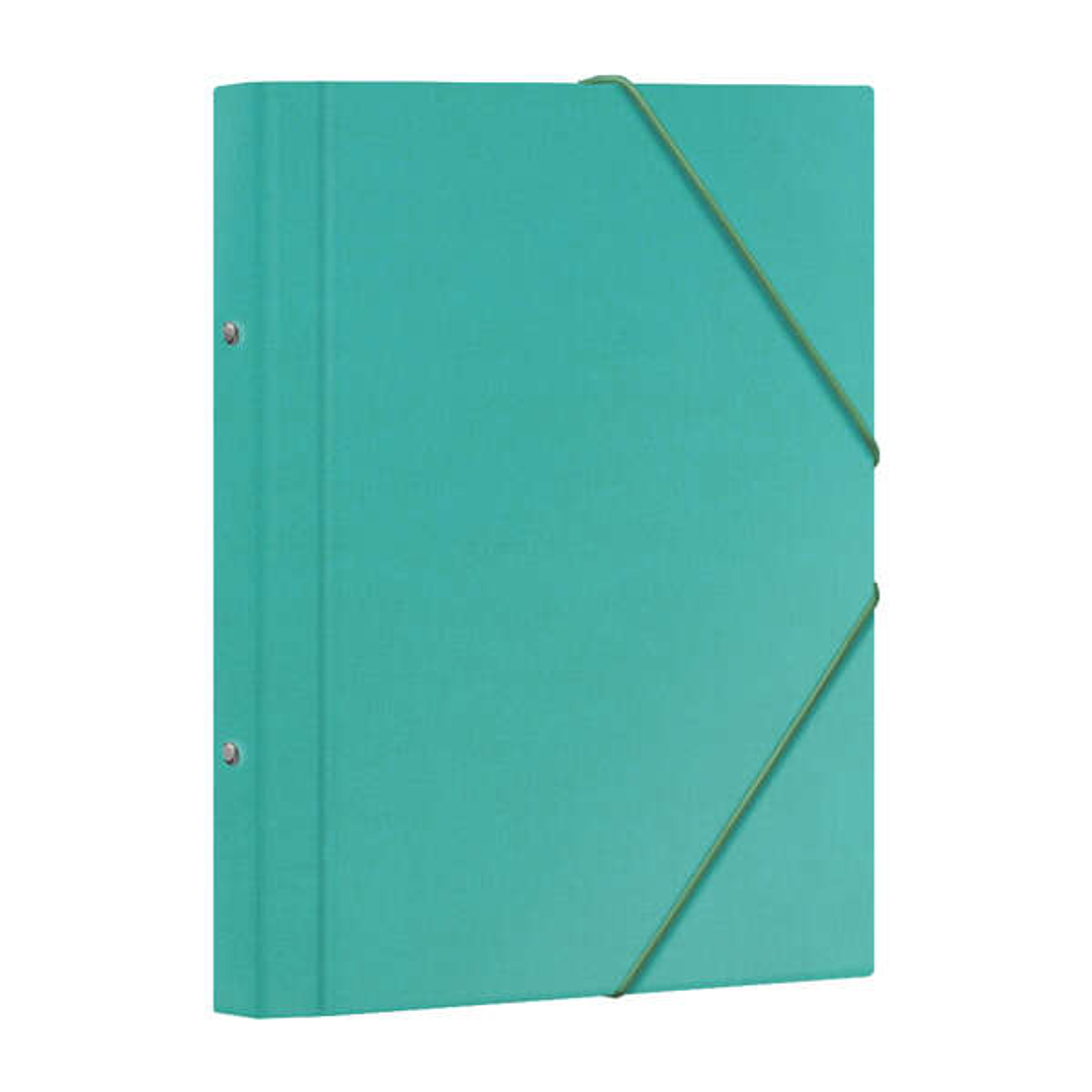 Dohe Carpeta Clasificadora 12 Departamentos - Formato Folio - Carton Plastificado - Cierre con Gomas - Color Verde Claro 1