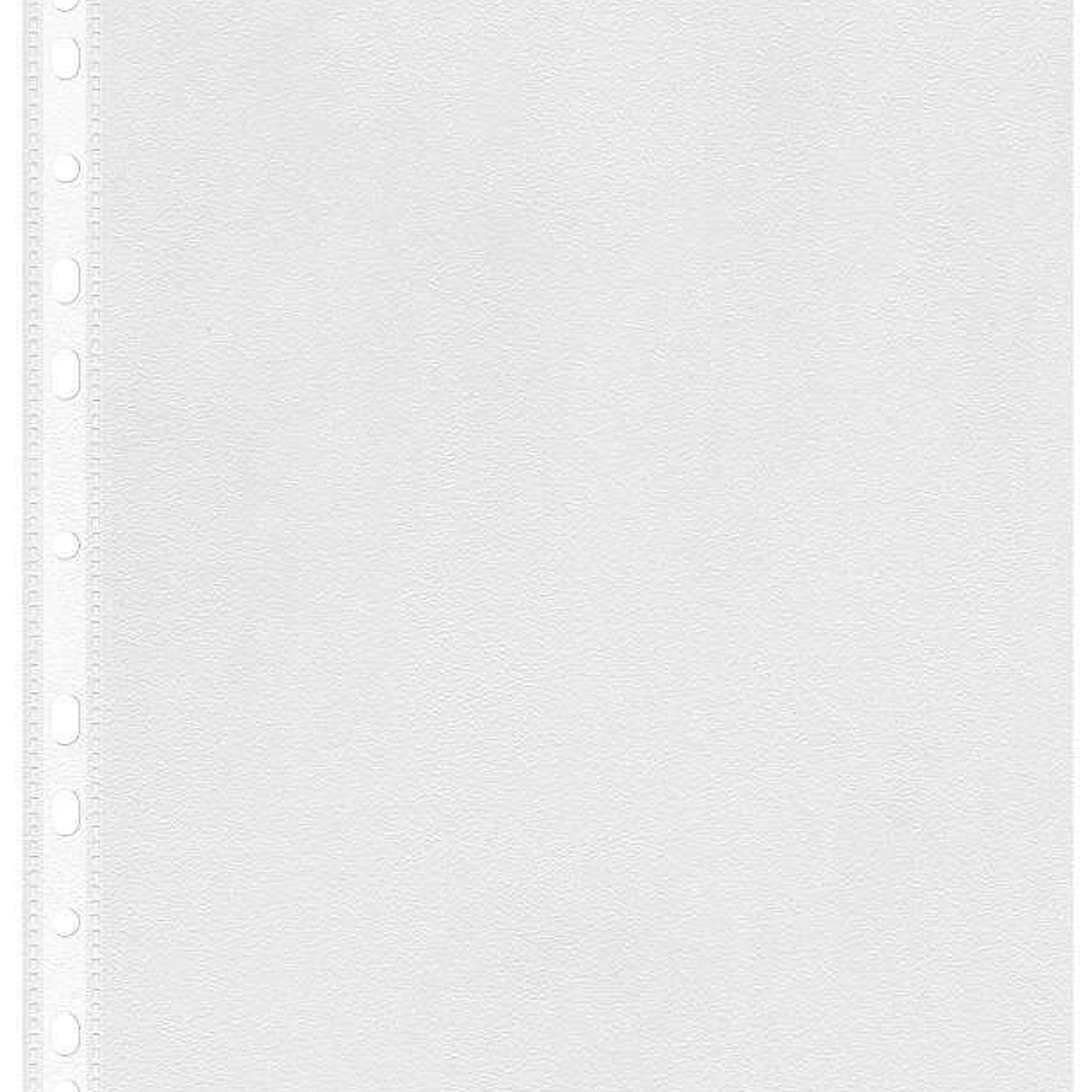 Esselte Pack de 100 Fundas Multitaladro A4 0,07mm - Abertura Superior - 11 Taladros - Acabado Rugoso Transparente 1