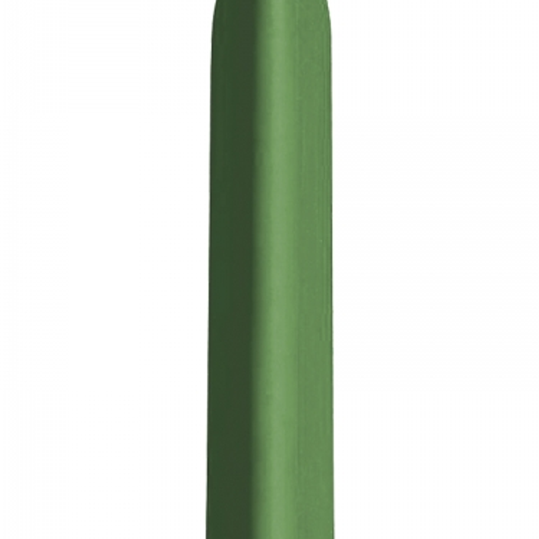 Jovi Triwax Estuche de 12 Ceras - Triangulares - No Manchan - Trazo Suave - Gran Rendimiento - Apto para Sacapuntas - Libre de Alergenos - Color Verde 1