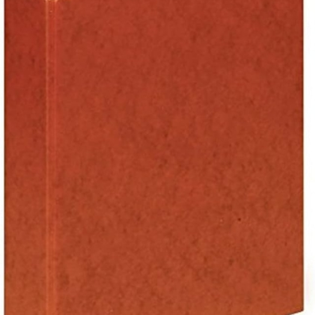 Elba Carpeta de Anillas 2Dx40mm Tamaño Folio - Con Compresor - Lomo 50mm - Carton Cuero - Color Marron 1