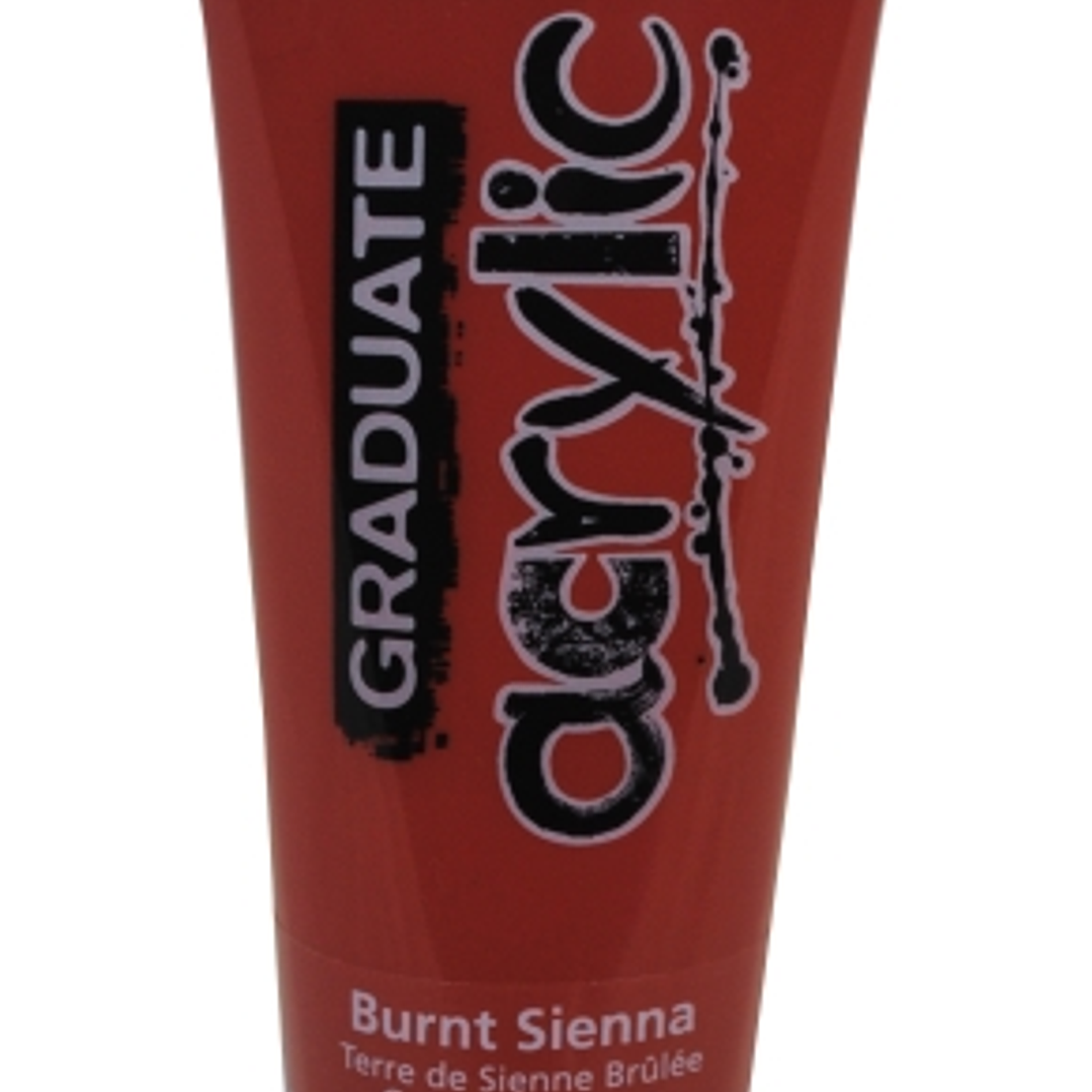 Daler Rowney Graduate Pintura Acrilica - Tubo de Plastico - 120ml - Color Siena Quemada 1