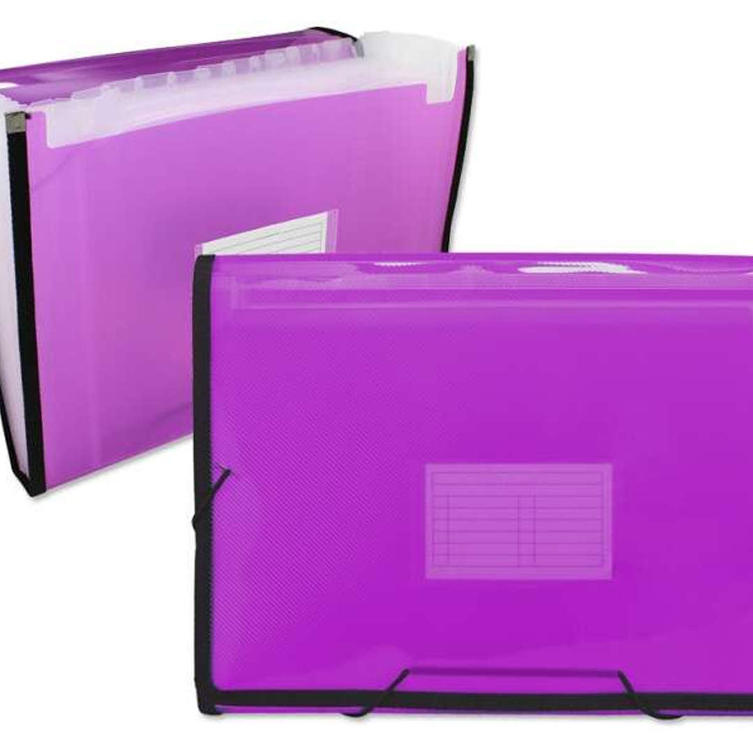 Ingraf Carpeta Frame Fuelle 13 Departamentos Tamaño A4 - Polipropileno Translucido - Gomas y Solapas - Color Rosa 1