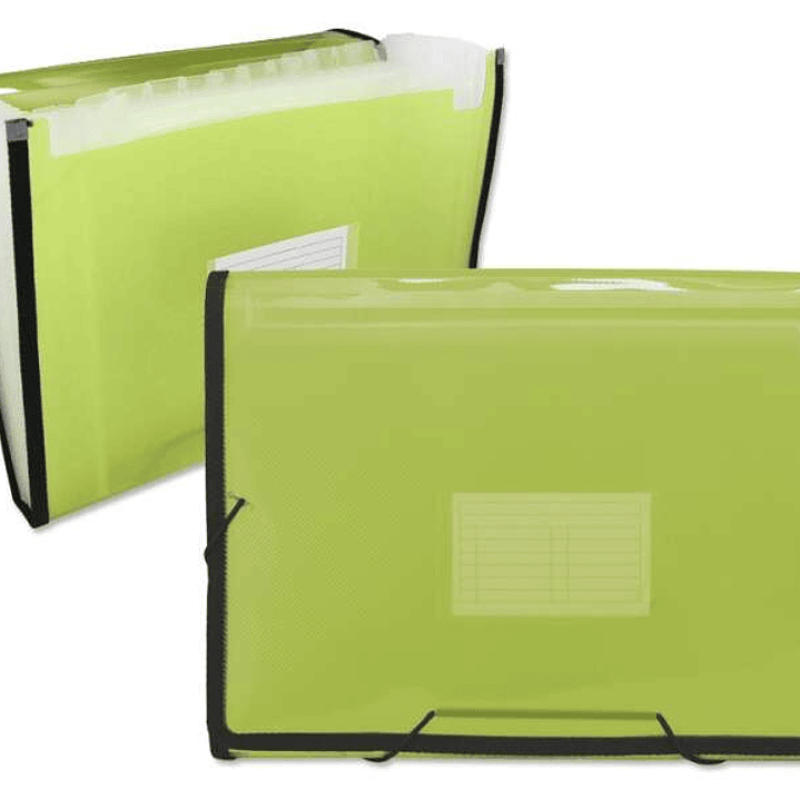 Ingraf Carpeta Frame Fuelle 13 Departamentos Tamaño A4 - Polipropileno Translucido - Gomas y Solapas - Color Verde 1