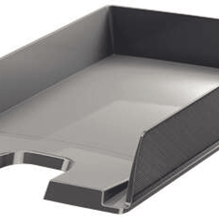 Esselte Europost Bandeja Portadocumentos -  Formato Vertical - A4 - Espacio para Etiqueta Identificativa - Color Gris 1