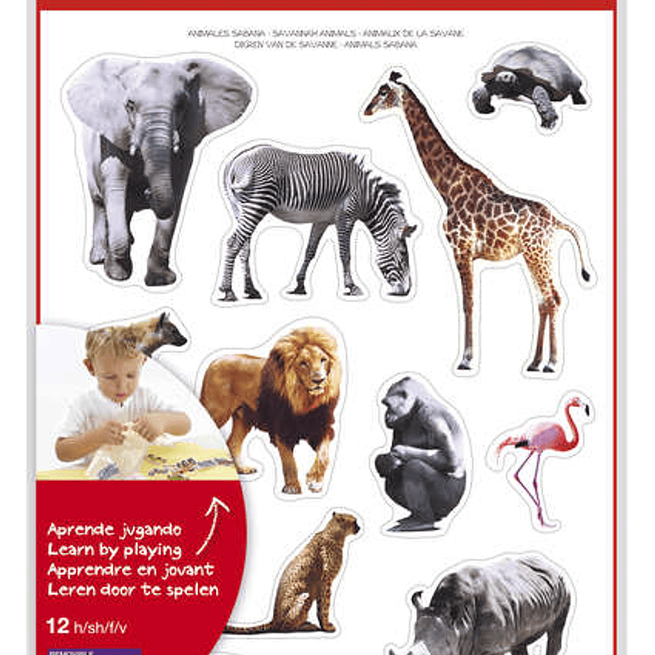 Apli Gomets Tematicos Realistas Animales Sabana - 144 Gomets - Adhesivo Removible - Ideal para Desarrollar Habilidades Motoras - Adhesivo Base Agua -  1