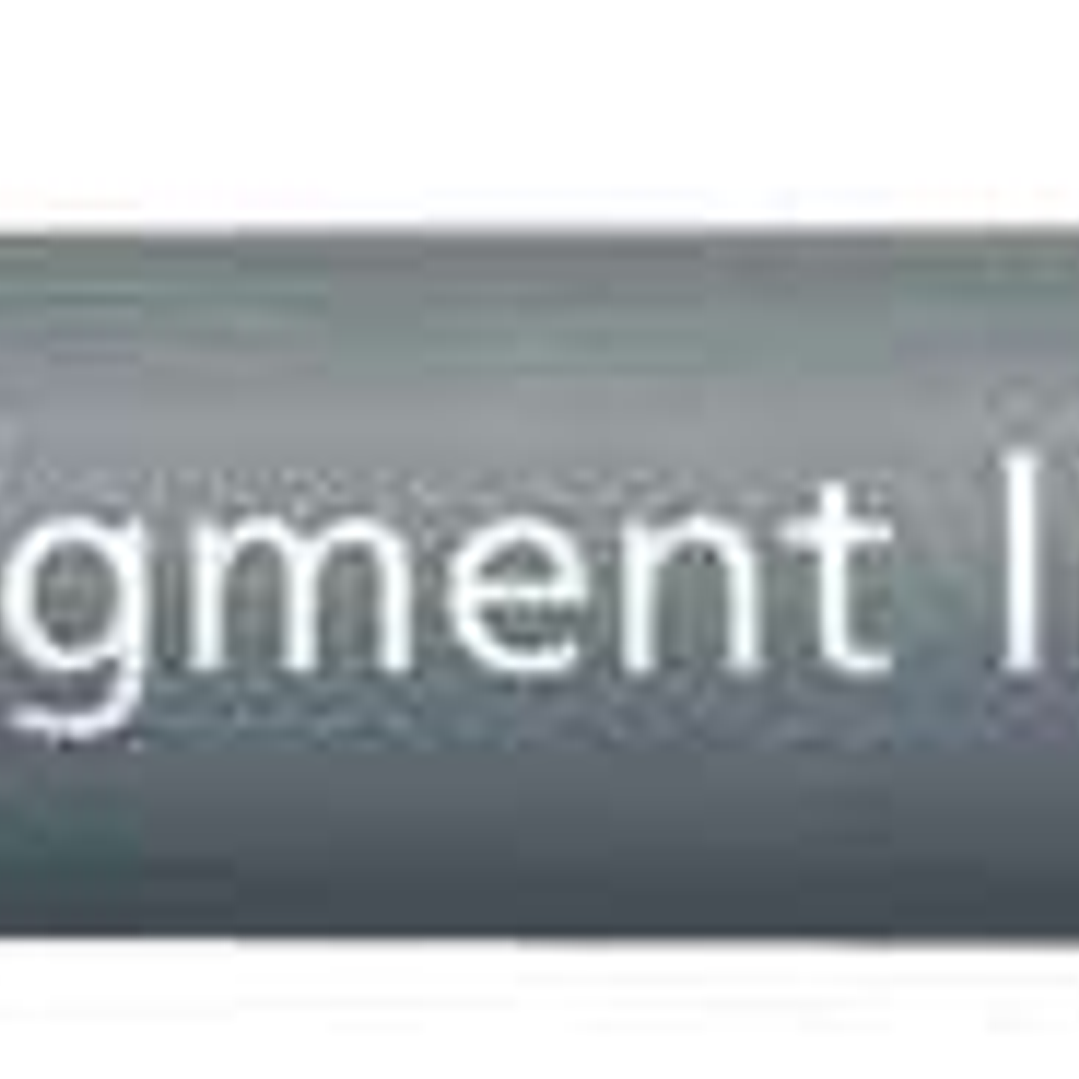 Staedtler Pigment Liner 308 Rotulador Calibrado - Trazo 0.3mm - Secado Rapido - Color Marron 1