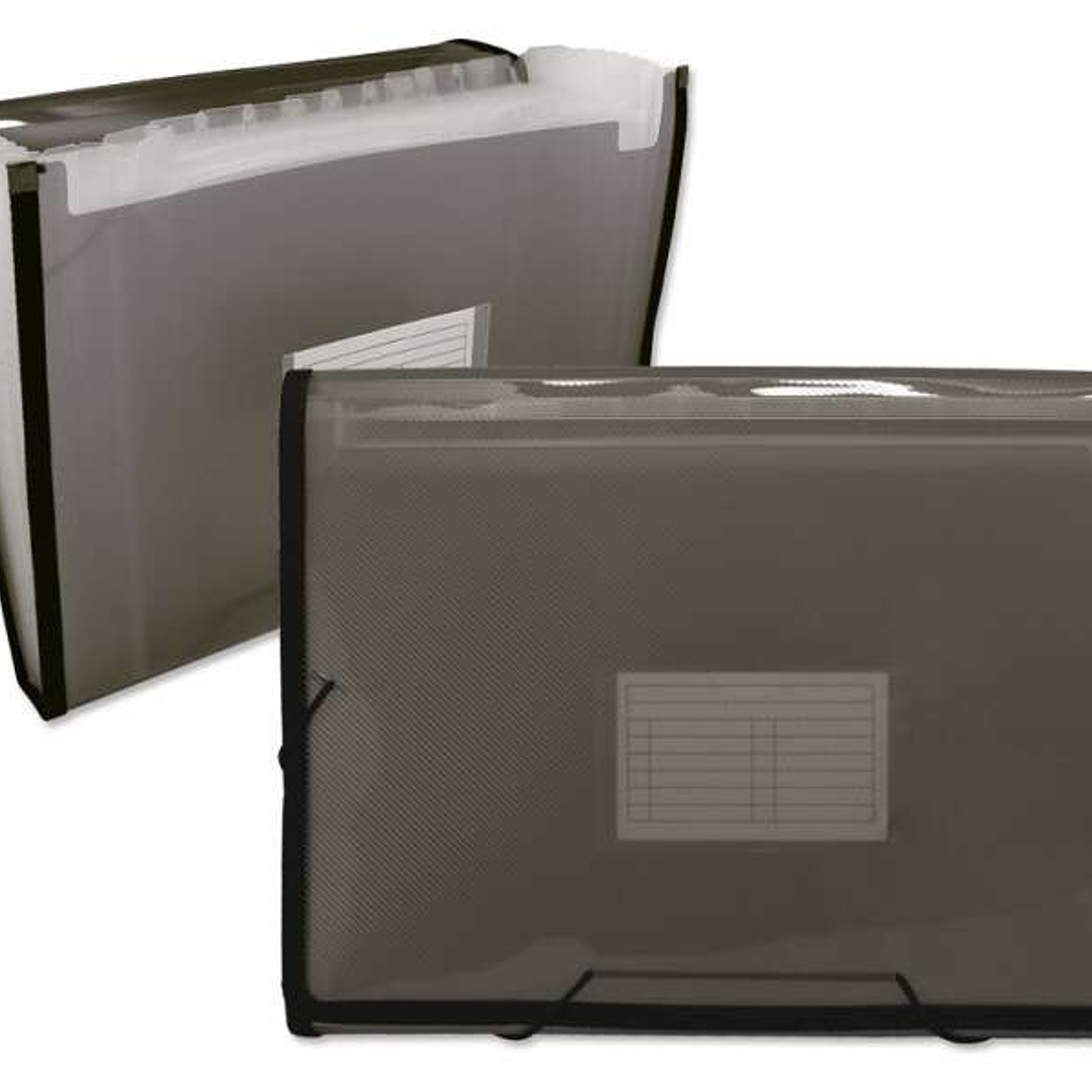 Ingraf Carpeta Frame Fuelle 13 Departamentos Tamaño A4 - Polipropileno Translucido - Gomas y Solapas - Color Gris 1