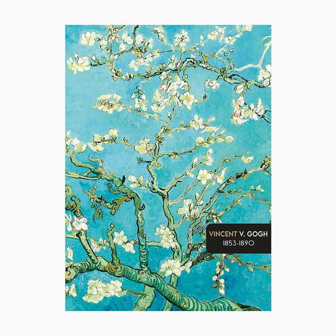 Pictura Cuaderno A5 - 15x21cm - 48 Paginas con Lineas - Papel con Certificacion FSC 1