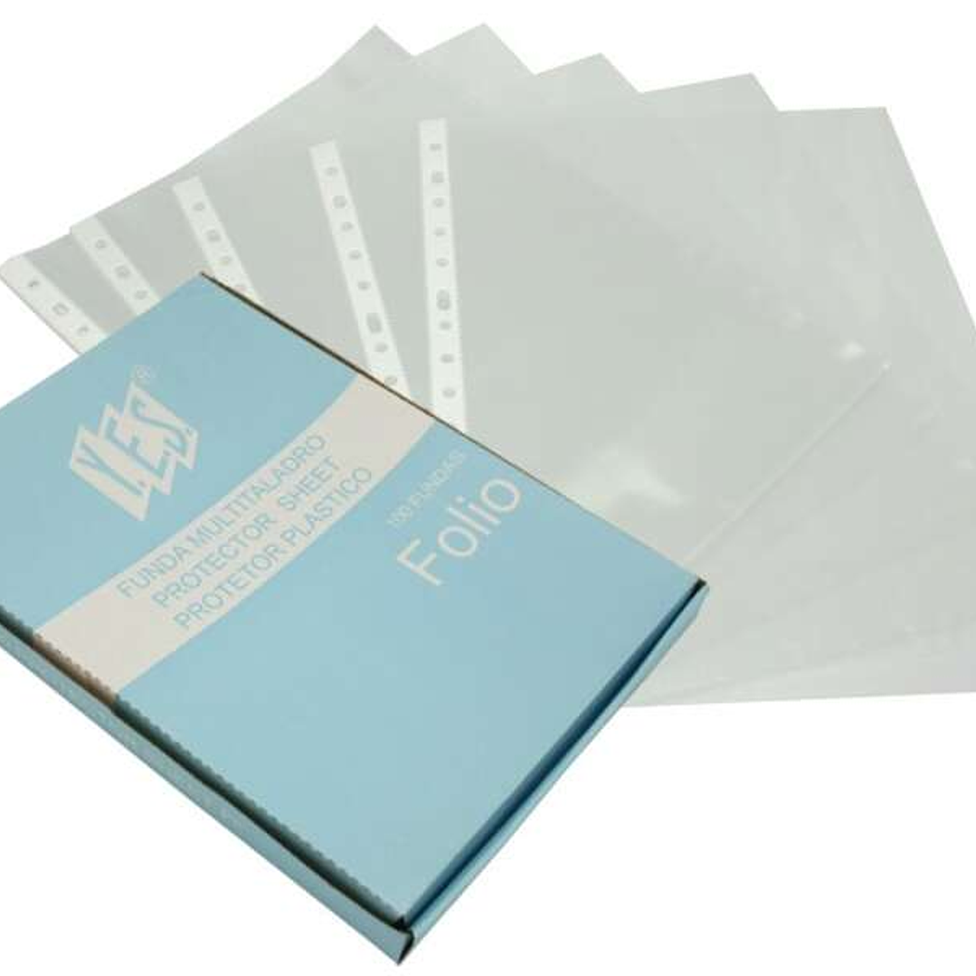 Bismark Caja de 100 Fundas Multitaladro 70 Micras Folio - Polipropileno Rugoso 1