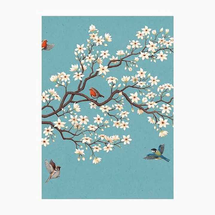 Pictura Cuaderno A5 - 15x21cm - 48 Paginas con Lineas - Papel con Certificacion FSC 1