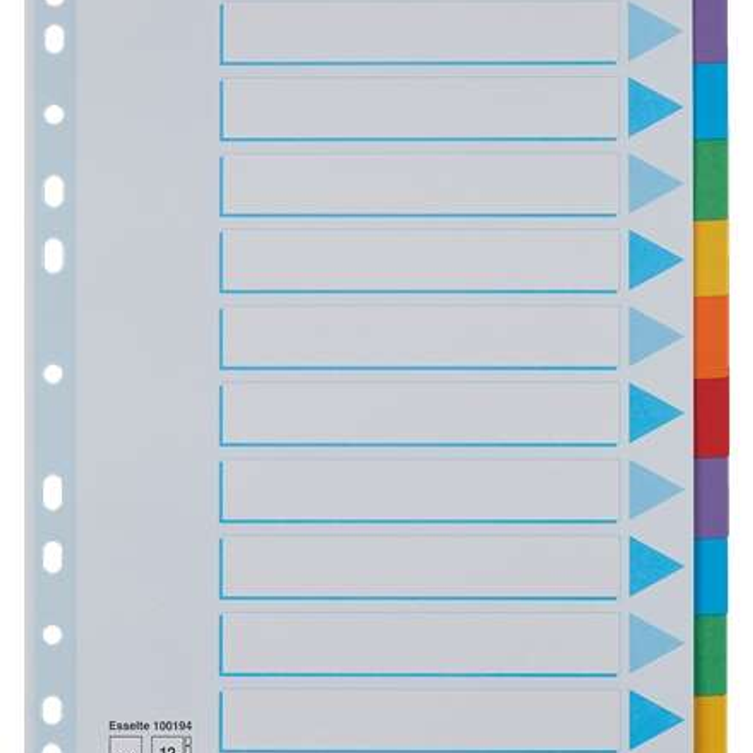Esselte Separadores 12 Posiciones - Multitaladro - 6 Colores - Carton - Tamaño A4 1