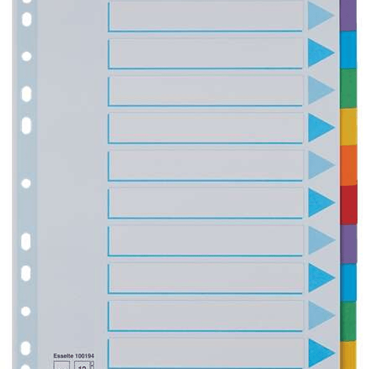 Esselte Separadores 12 Posiciones - Multitaladro - 6 Colores - Carton - Tamaño A4 1