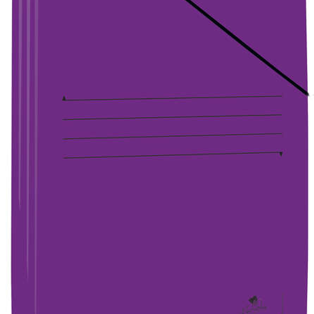 Mariola Carpeta de Carton Plastificado Folio 500gr/m2 - Medidas 34x25cm - Cierre con Goma Elastica - Color Violeta 1