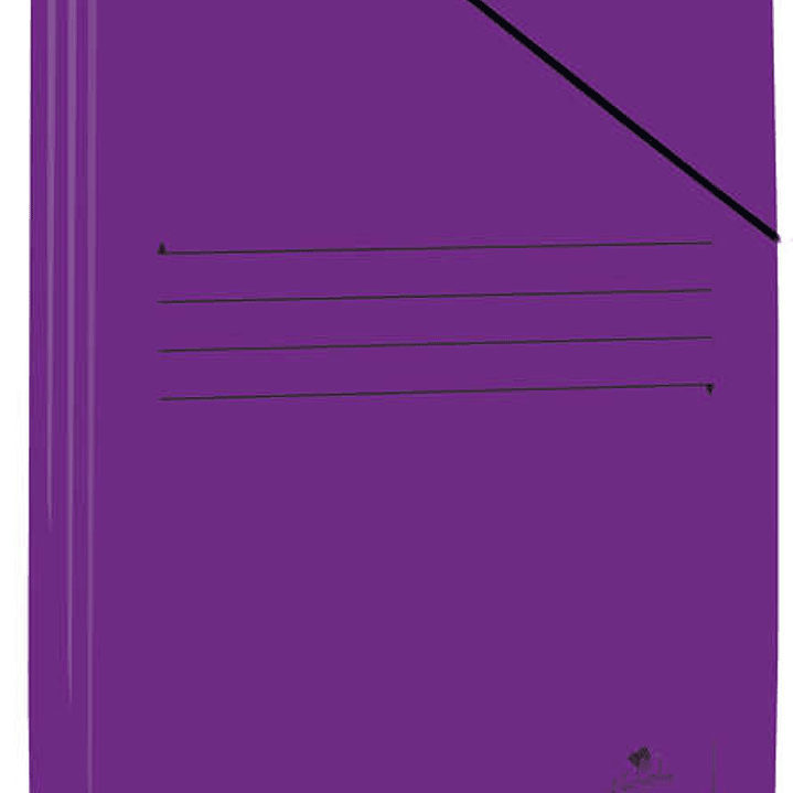 Mariola Carpeta de Carton Plastificado Folio 500gr/m2 - Medidas 34x25cm - Cierre con Goma Elastica - Color Violeta 1