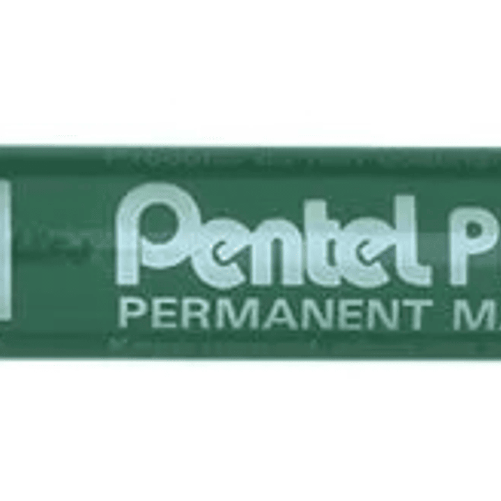 Pentel Pen N60 Rotulador Permanente - Punta Biselada Resistente y Duradera - Resistente a Agua y Luz - Color Verde 1
