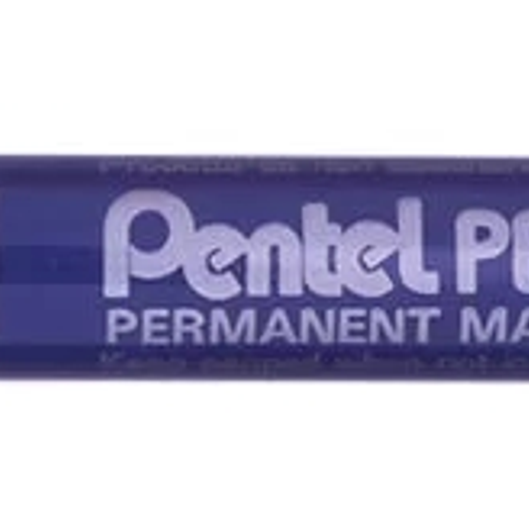 Pentel Pen N60 Rotulador Permanente - Punta Biselada Resistente y Duradera - Resistente a Agua y Luz - Color Azul 1