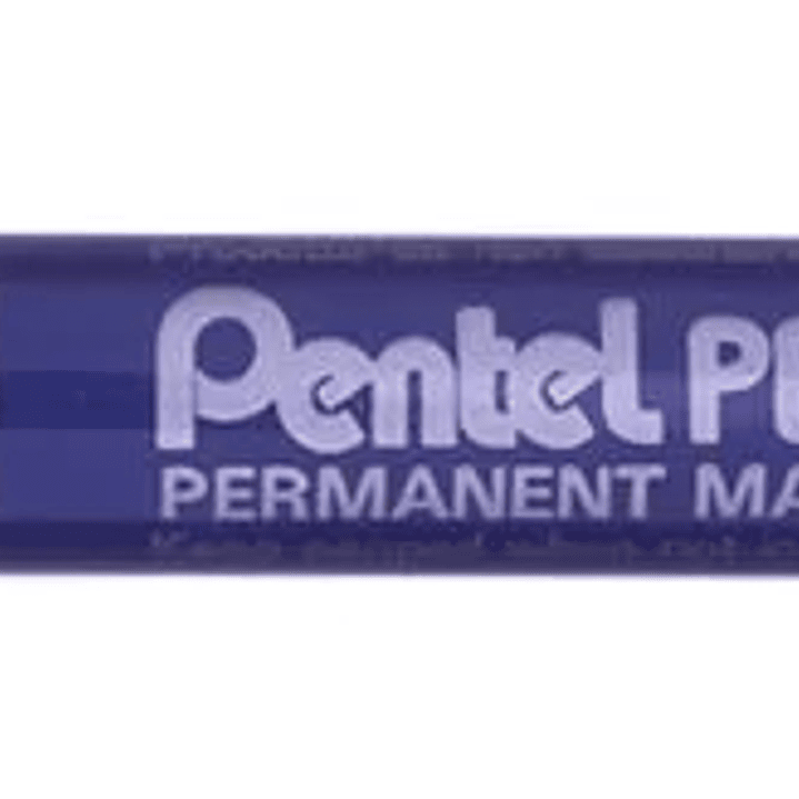 Pentel Pen N60 Rotulador Permanente - Punta Biselada Resistente y Duradera - Resistente a Agua y Luz - Color Azul 1
