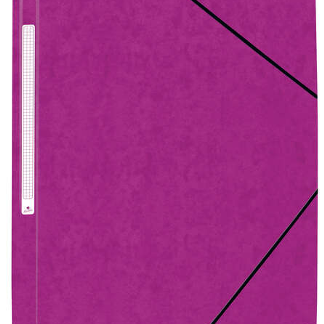 Mariola Carpeta de Carton Simil Prespan con Etiqueta en Lomo Folio 500gr/m2 - Medidas 34x25cm - Cierre con Goma Elastica - Color Violeta 1