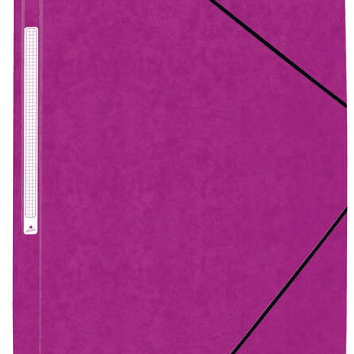 Mariola Carpeta de Carton Simil Prespan con Etiqueta en Lomo Folio 500gr/m2 - Medidas 34x25cm - Cierre con Goma Elastica - Color Violeta 1