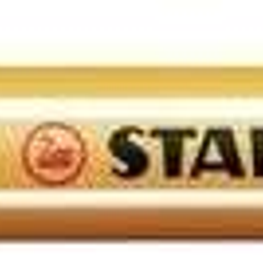 Stabilo Point 88 Rotulador de Punta Fina de Fibra - Trazo de 0.4 mm - Tinta con Base de Agua - Color Rojo Neon 1