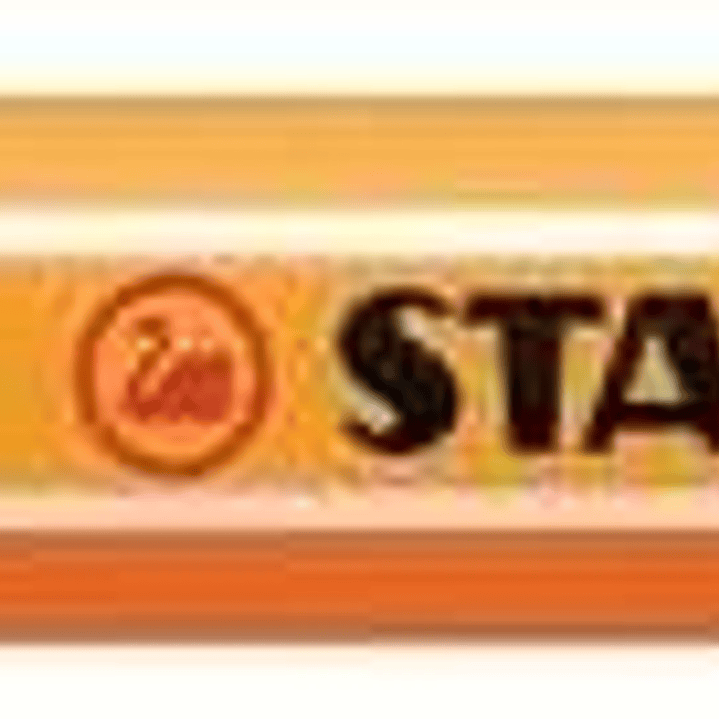 Stabilo Point 88 Rotulador de Punta Fina de Fibra - Trazo de 0.4 mm - Tinta con Base de Agua - Color Gris Intenso 1