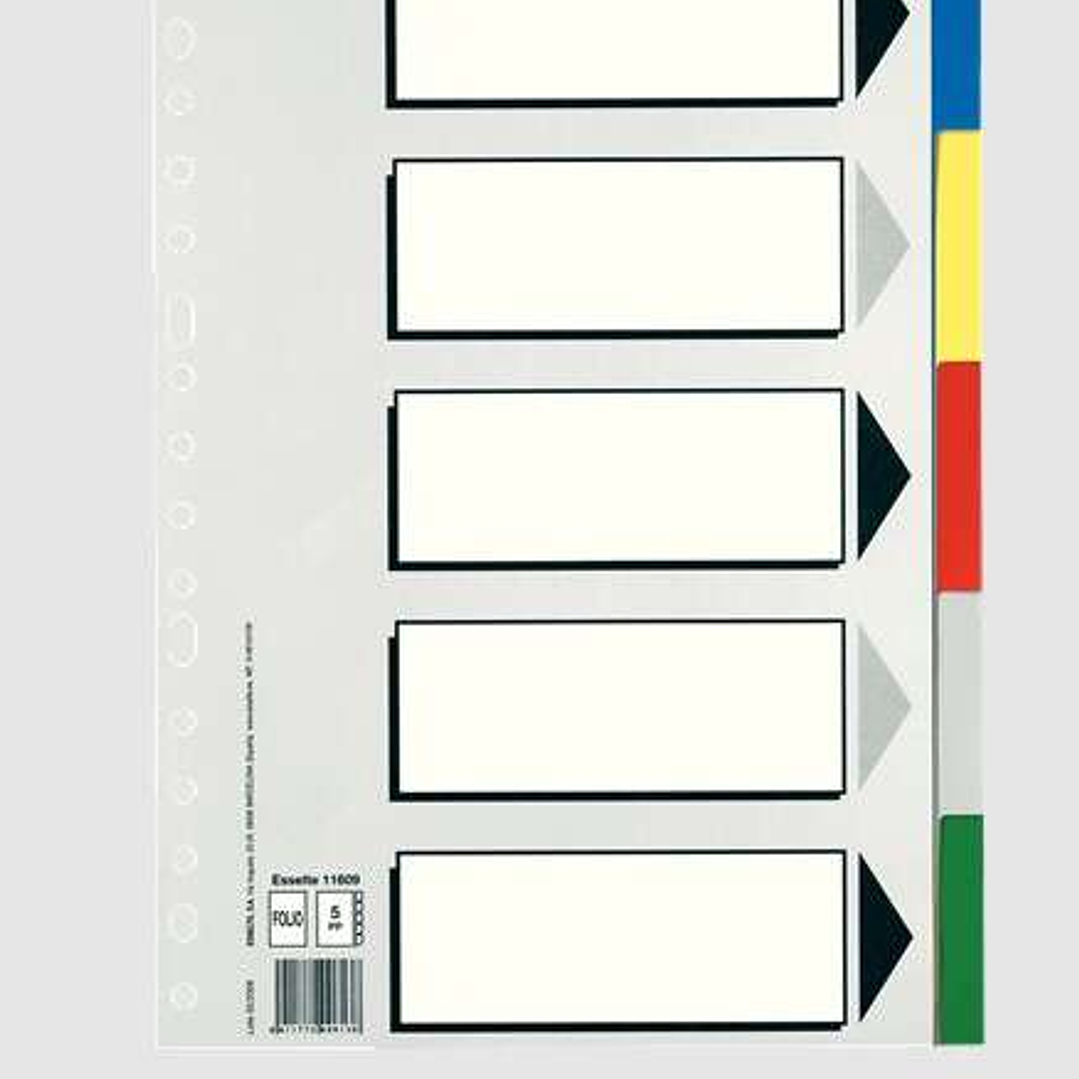 Esselte 613 Bolsa de 5 Separadores de Plastico - 5 Pestañas / 5 Colores - Multitaladro - Formato Folio 1