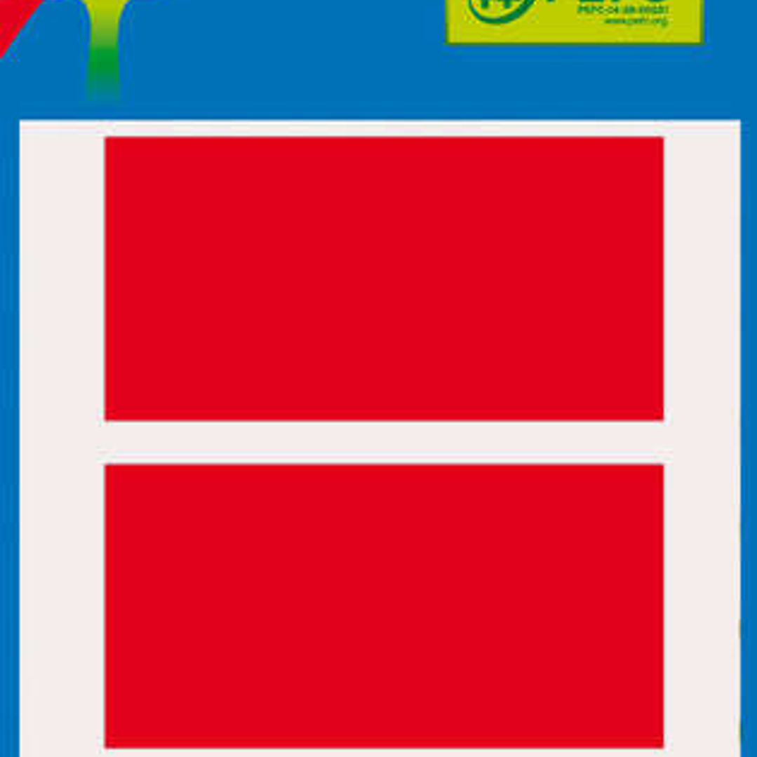 Apli Minibolsa de 15 Etiquetas Rectangulares 34x67mm - 5 Hojas por 3 Etiquetas - Adhesivo Permanente - Cantos Romos - Color Rojo 1