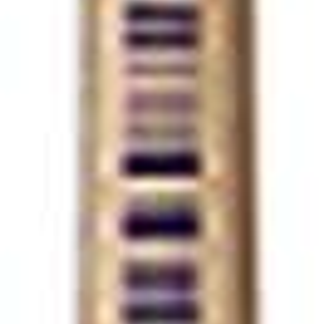 Pelikan Pincel Serie 613F Nº6 - Pincel de Punta Plana de Pelo Natural - para Colores Pastosos - Ideal para Pinturas al Oleo, Acrilico y Tempera - Mang 1