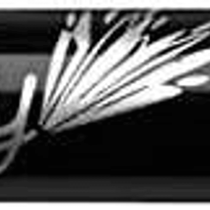 Bic Intensity Fine Rotulador de Punta Fina de 0.8mm - Trazo de 0.4mm - Tinta con Base de Agua - Color Verde Lima 1