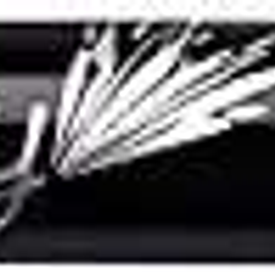 Bic Intensity Fine Rotulador de Punta Fina de 0.8mm - Trazo de 0.4mm - Tinta con Base de Agua - Color Verde 1