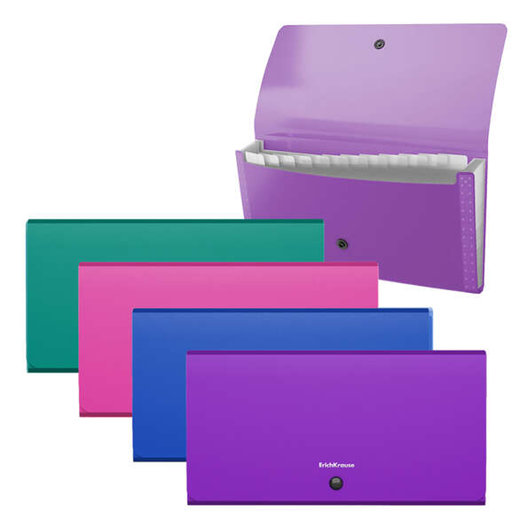 Erichkrause Clasificadores Matt Vivid - 12 Fundas - Tamaño Cheque - Colores Surtidos 1