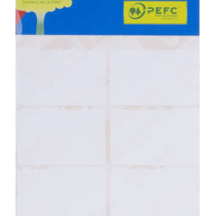 Apli Pack de 48 Etiquetas Rectangulares 25x40mm - 6 Hojas por 8 Etiquetas - Adhesivo Permanente - Cantos Romos - Aptas para Escritura Manual - Color B 1